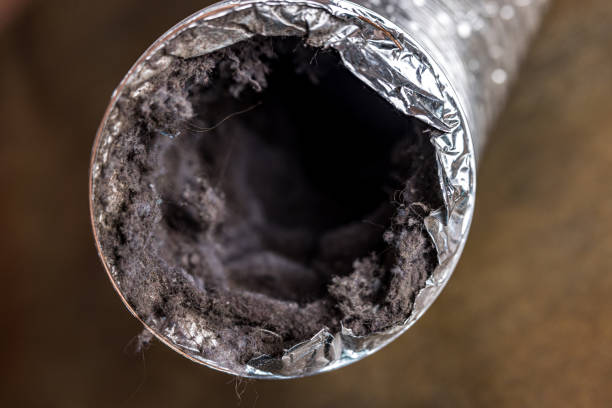 Best Residential Air Duct Cleaning  in Neptune City, NJ